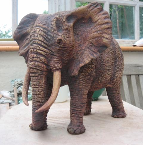 a matriarch elephant