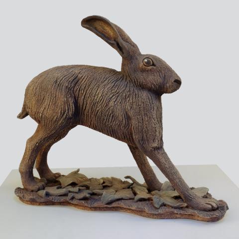 standing hare