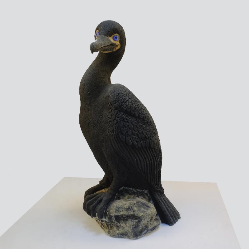 standing cormorant