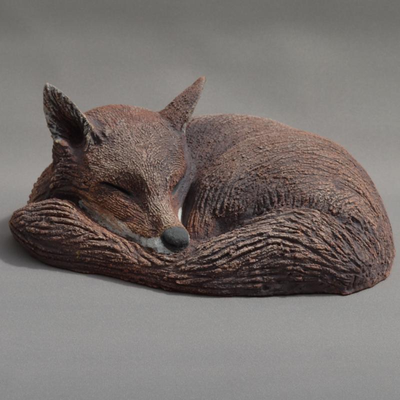 a curled fox