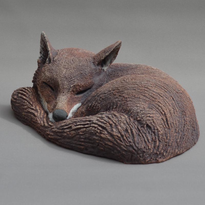 a curled fox