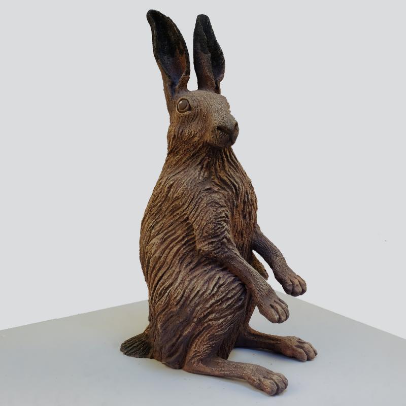 a sitting hare